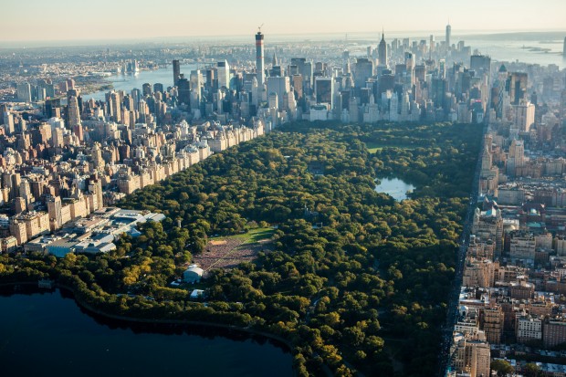 Top 10 Educational Trips in New York City