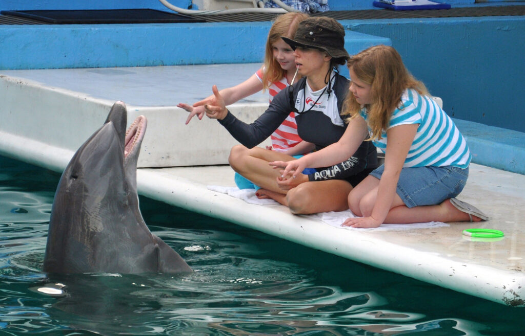 Why Florida is the Most Amazing Place for Family Vacations