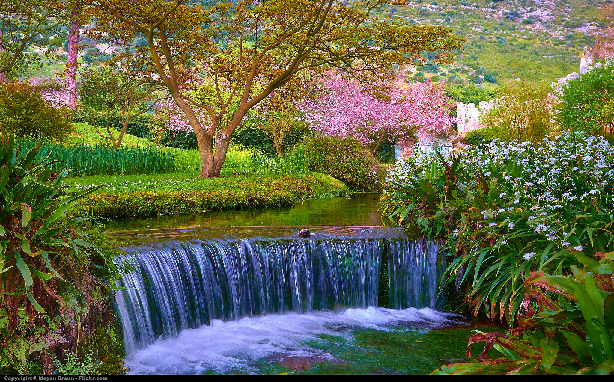 The Most Romantic Garden in the World – The garden of Ninfa