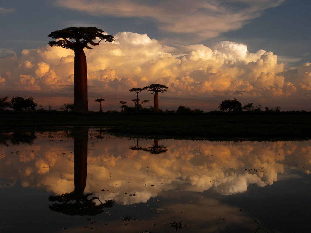 Madagascar – For Those Who Want More Than Ordinary Holiday