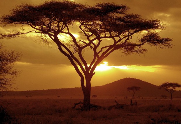 Go to Tanzania to Feel the True African Spirit