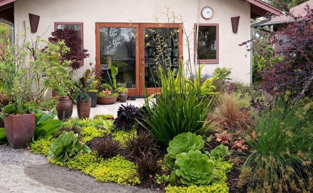 Amazing Landscaping Ideas for Small Budgets