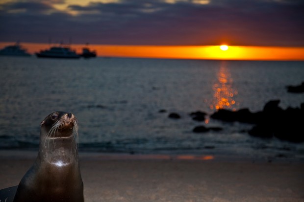 Galapagos Islands - Evidence Of the Evolution of The World