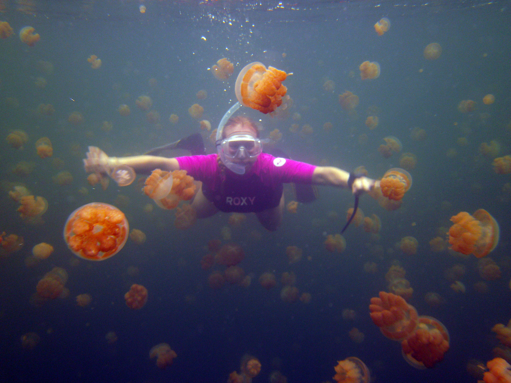 How Would You Feel to Swim in a Lake With a Million Jellyfish?