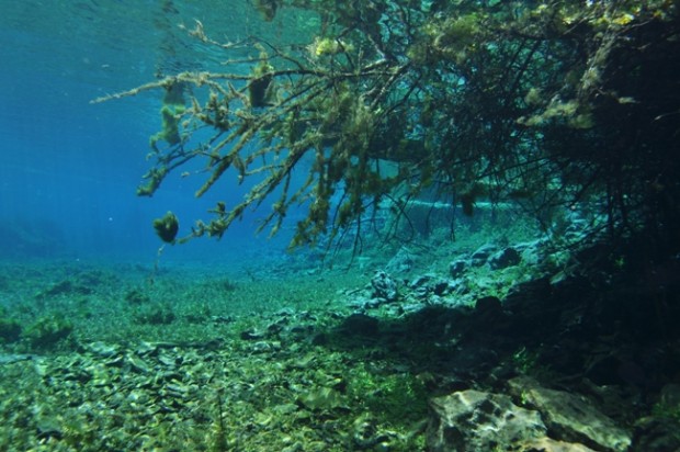 Discover the Magical World Underneath the Lake Ohrid
