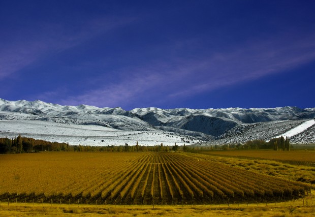 Mendoza - Irresistible Wine Destination Mendoza - Irresistible Wine Destination