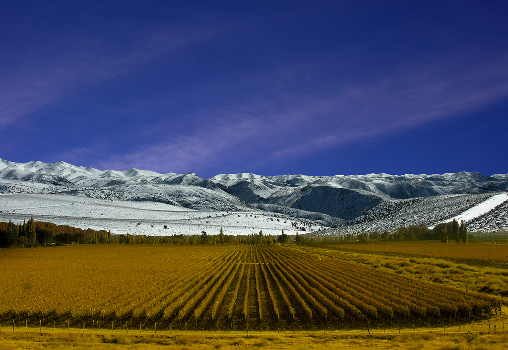 Mendoza – Irresistible Wine Destination