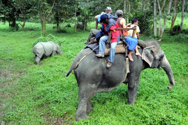 Enjoy An Adrenaline Rush with Myriad Safari Options