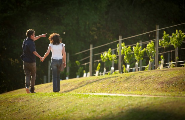 How to Choose the Perfect Wine Tour Package for an Unforgettable Experience