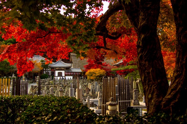 Best Places to Enjoy the Autumn Landscapes