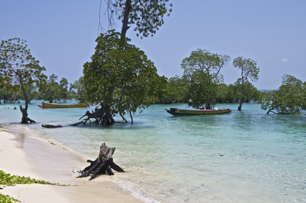 Discover India: Visit Top 5 Sea Beaches in India Discover India: Visit Top 5 Sea Beaches in India