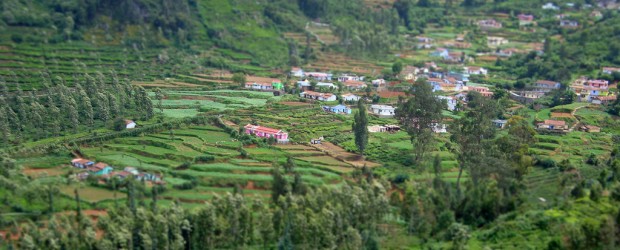 Ooty - The Evergreen Destination Of Pristine Beauty Ooty - The Evergreen Destination Of Pristine Beauty
