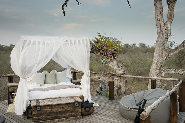 Lion Sands Game Reserve – Feel Real Pleasure at Such Unrealistic And Unusual Place