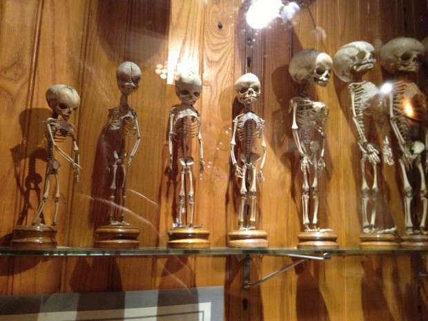 Weird and Unusual Museums Across the World Weird and Unusual Museums Across the World