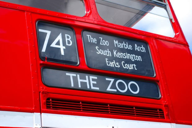 The Most Memorable London Attractions