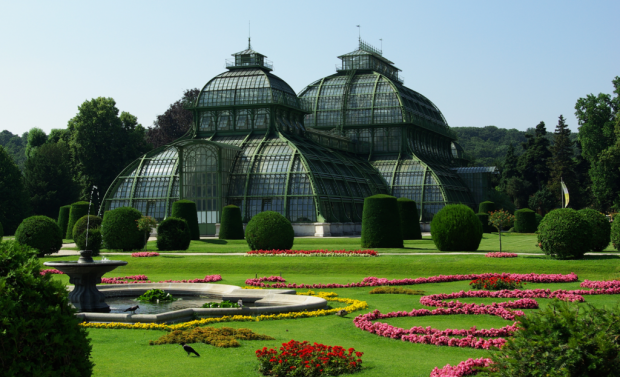 1024px-Palm_House_Schönbrunn_seen_from_Palm_House_Parterre_from_app._N-620x377 Top tips for Valentine’s Day in Vienna