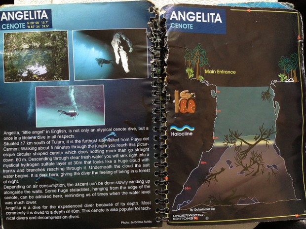 Miracle of Nature: Cenote Angelita - Underwater River in Mexico Miracle of Nature: Cenote Angelita - Underwater River in Mexico