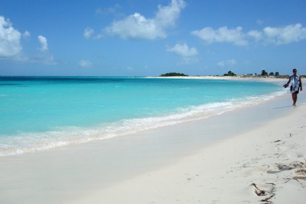 Archipelago Los Roques Is Home To Diverse Sea Life Archipelago Los Roques Is Home To Diverse Sea Life
