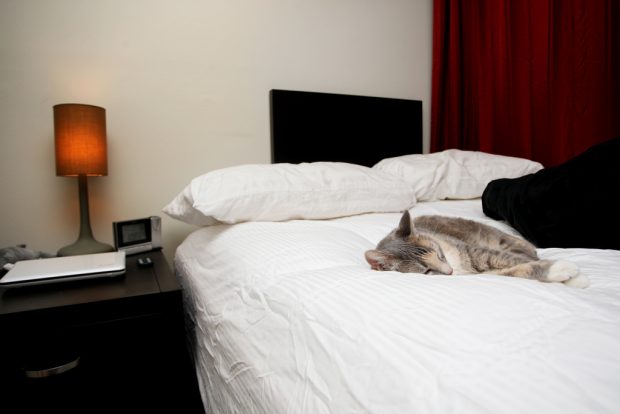 How to Select the Top Quality Pillow Top Mattress with Ease How to Select the Top Quality Pillow Top Mattress with Ease