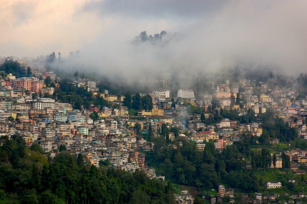 On a Tea Tourism in Darjeeling: Tea and Lodging On a Tea Tourism in Darjeeling: Tea and Lodging