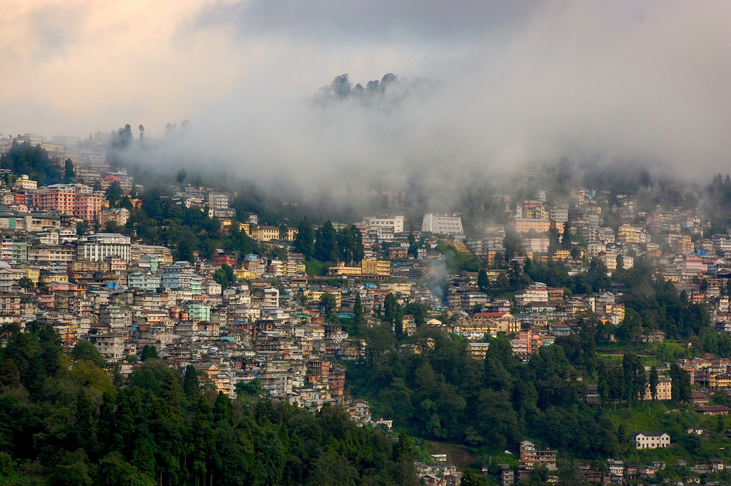 On a Tea Tourism in Darjeeling: Tea and Lodging
