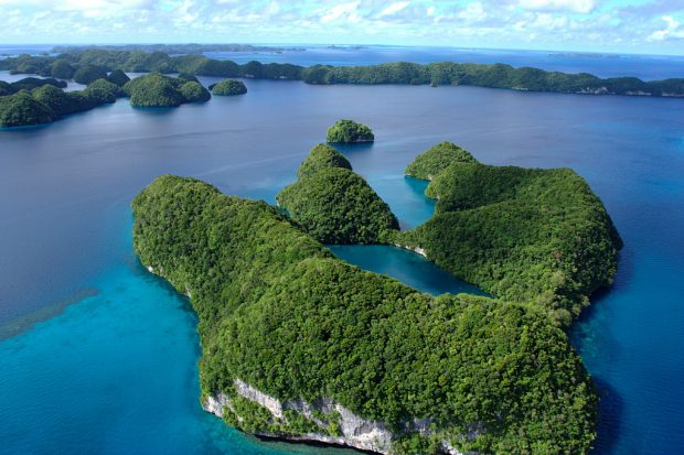Palau, Paradise Island, Which Just Waiting To Be Discovered Palau, Paradise Island, Which Just Waiting To Be Discovered