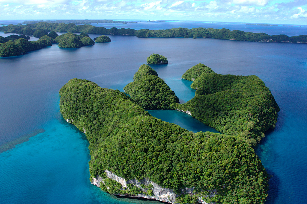 Palau, Paradise Island, Which Just Waiting To Be Discovered