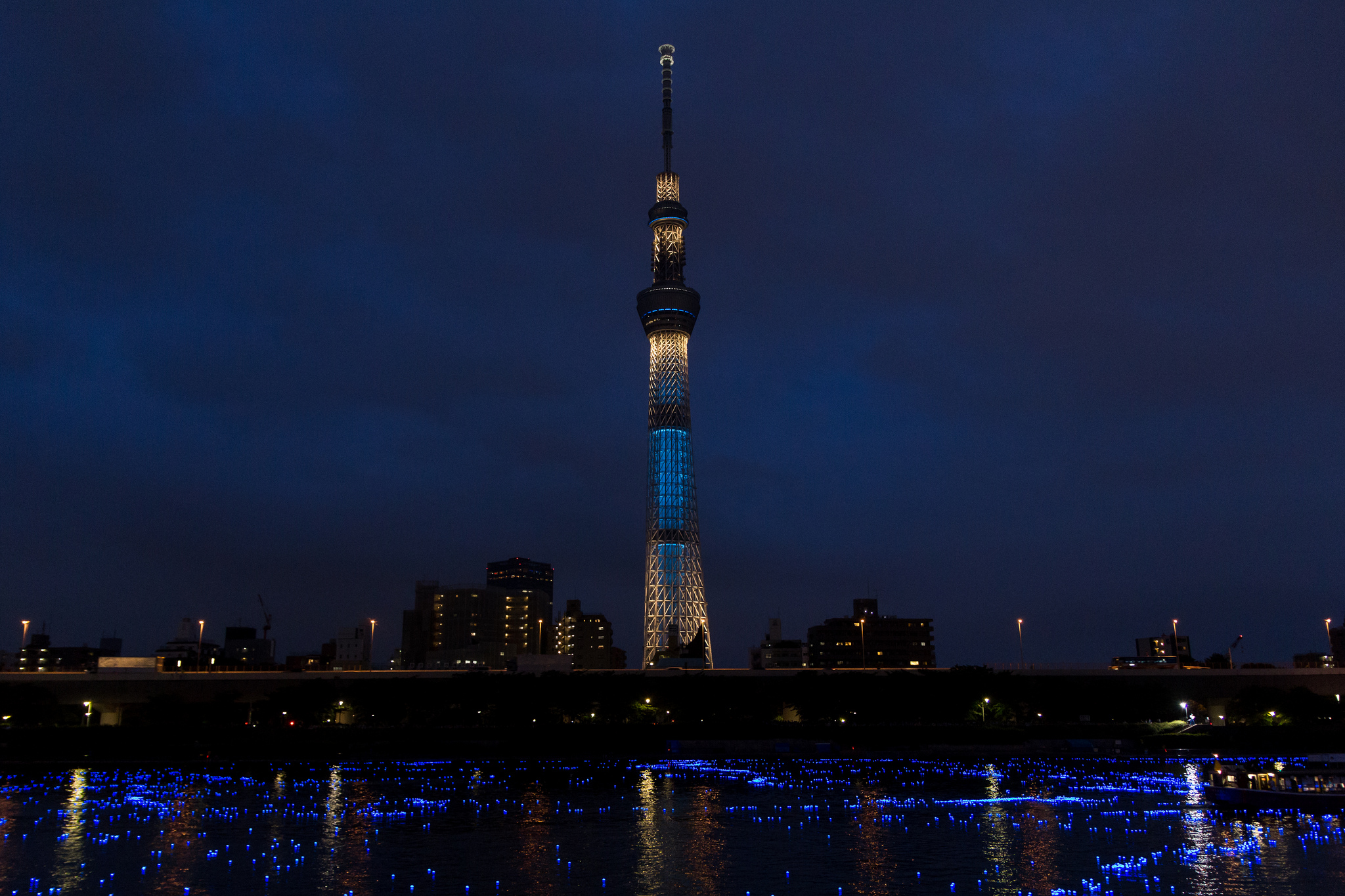 Season Of Fireflies In Japan