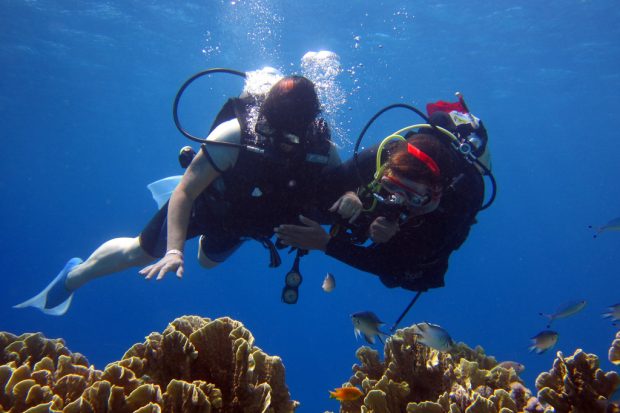 Plan a Diving Holiday to Sicily Plan a Diving Holiday to Sicily