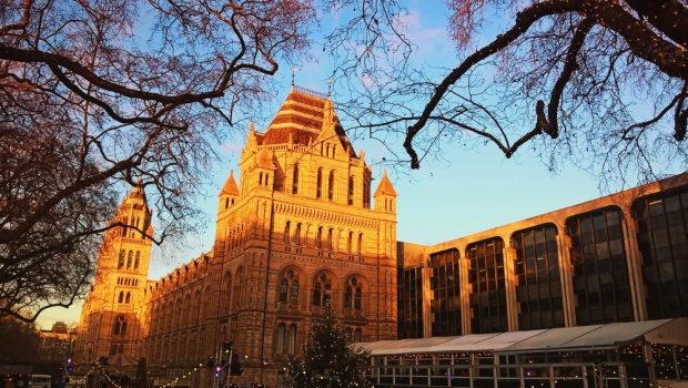 Natural-History-Museum-in-London-620x350 Escape London’s Chill at Its Museums