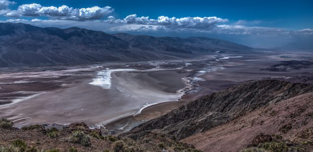 The Most Dry, Most Low And The Hottest Place, Death Valley, Is Full Of Life The Most Dry, Most Low And The Hottest Place, Death Valley, Is Full Of Life