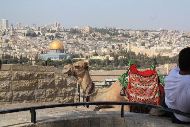 Interesting Details On Catholic Israel Tours Interesting Details On Catholic Israel Tours