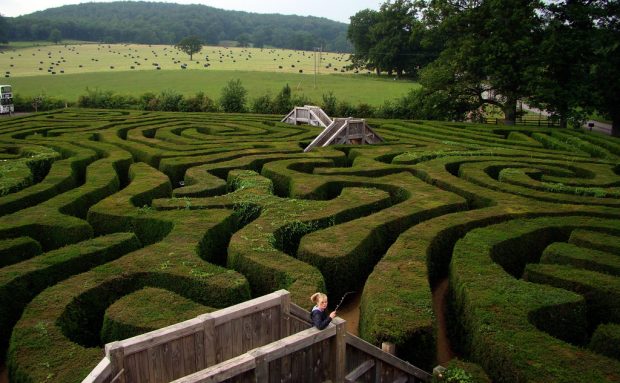 Longleat Hedge Maze – Difficult, But Interesting Challenge For Tourists Longleat Hedge Maze – Difficult, But Interesting Challenge For Tourists