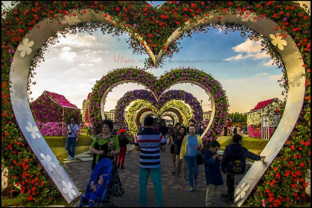 Colorful Floral Paradise In Dubai Miracle Garden Colorful Floral Paradise In Dubai Miracle Garden