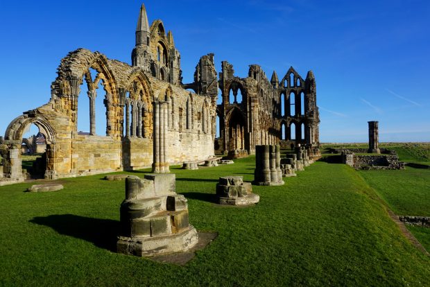 Three Accessible Places to Enjoy with Your Family This Winter Three Accessible Places to Enjoy with Your Family This Winter