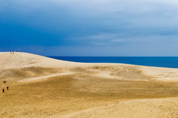 Tottori Sand Dune In Japan Tottori Sand Dune In Japan