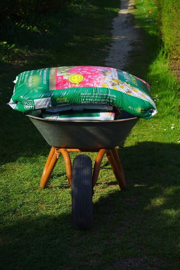 A Beginner’s Guide to Creating a Lush and Immaculate Lawn from Seed