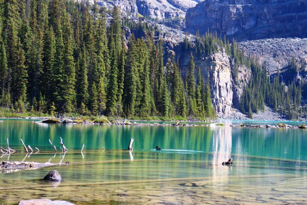 5 Must-Visit Places For Hikers