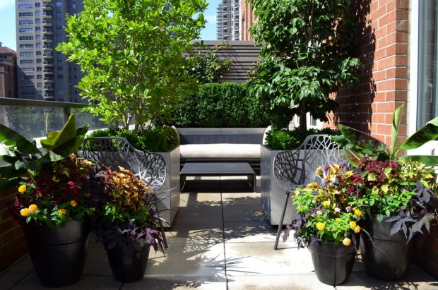 Stunning Ideas For A Small Garden Stunning Ideas For A Small Garden