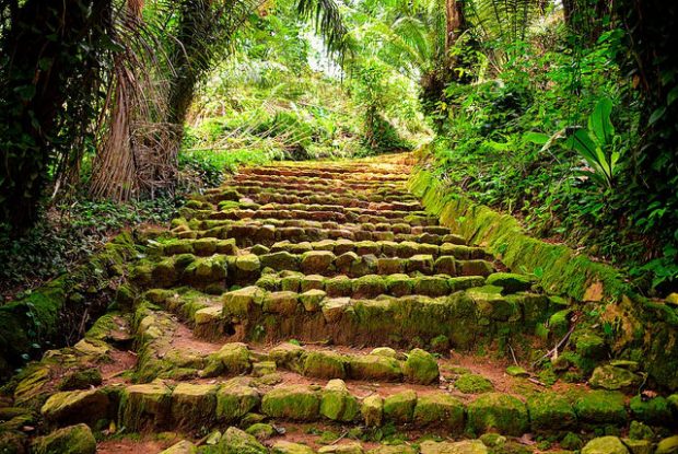Perfect Holiday In Uganda Perfect Holiday In Uganda