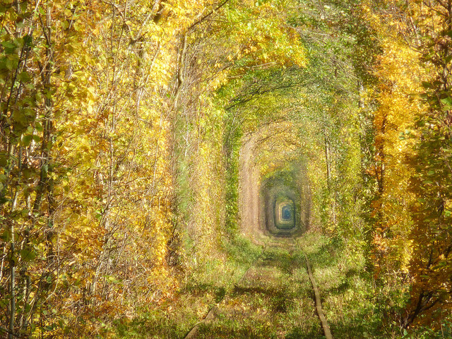 A Place Where Love Remains Eternal – Tunnel Of Love