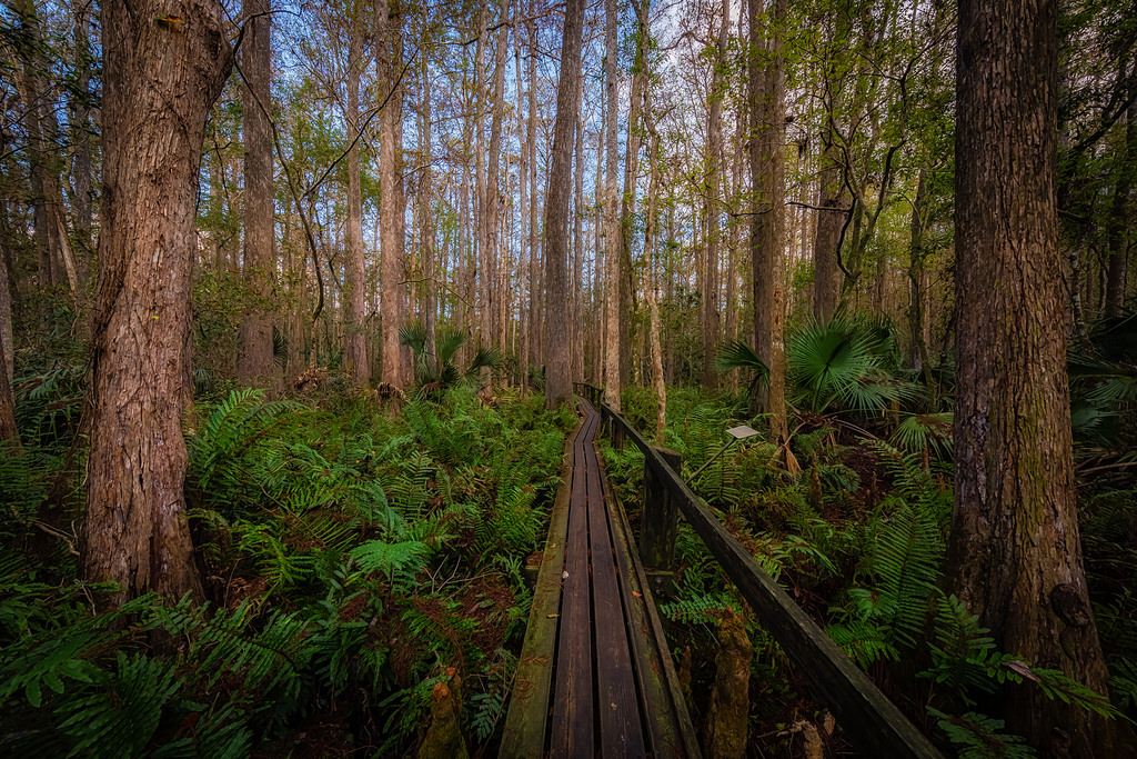 Hidden Florida Travel Gems Few People Know About