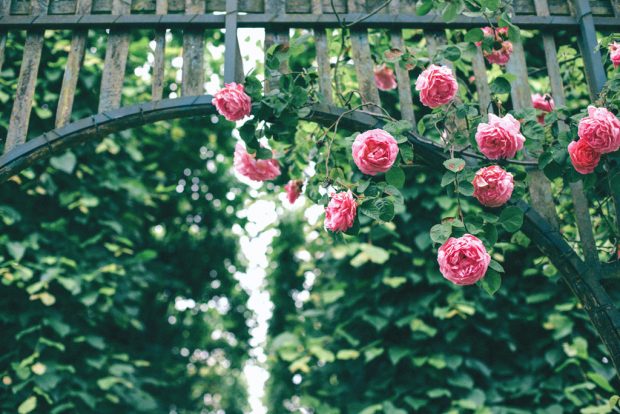 How to Create your Own Secret Garden How to Create your Own Secret Garden