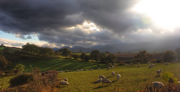 Experience the Picturesque Landscapes of North Wales