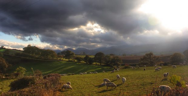 Baclaw-Wales-United-Kingdom-620x318 Experience the Picturesque Landscapes of North Wales