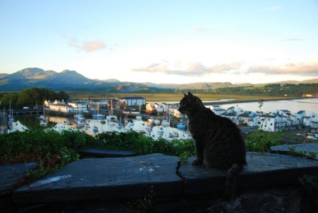 Porthmadog-Gwynedd-Wales-UK-1-620x415 Experience the Picturesque Landscapes of North Wales