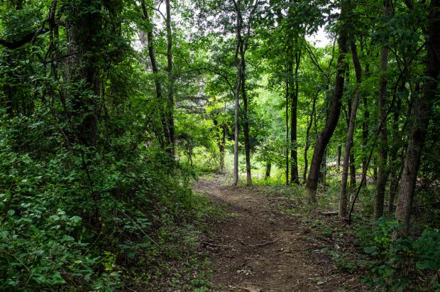 Wonderful Hikes To Try In Texas
