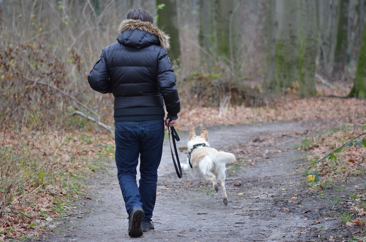 Dog Ownership and Health