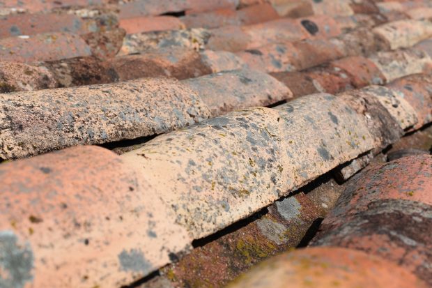 shingles-1283921_1280-620x413 8 Best Practices to Maintain Your Roof This Summer