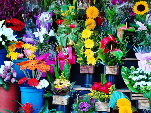 Why is Its Beneficial to Buy Flowers Online?